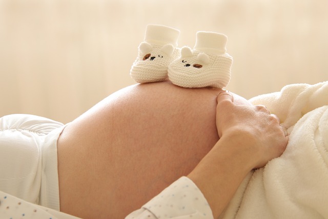 pregnant-6189040_640